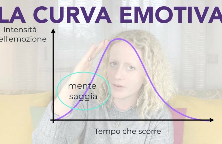 La vita delle emozioni. Istruzioni per l’uso